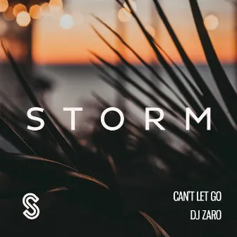 Can't Let Go by DJ Zaro