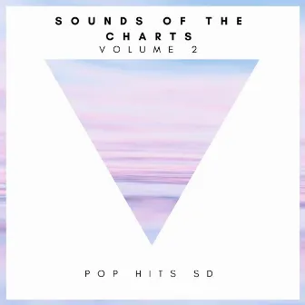 Sounds of The Charts Vol.2 by Pop Hits SD