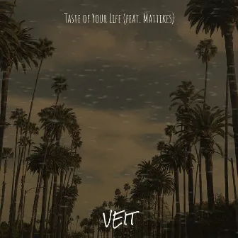 Taste of Your Life by VEIT