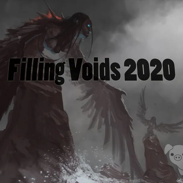 Filling Voids 2020