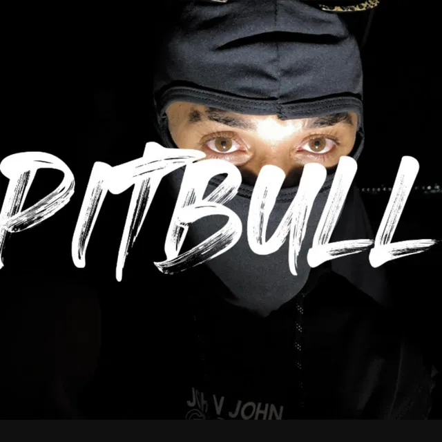 Pitbull