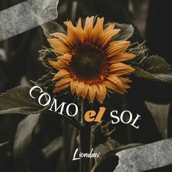 Como el Sol by Liondari