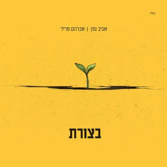 בצורת by Aviv Geffen