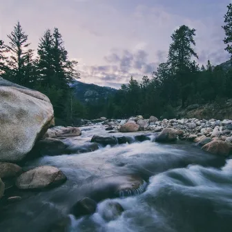 Rippling Resonance: Creek and Birds for Harmonious Meditation by Sound of the Wilderness