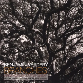 Branches by Benjamin Verdery