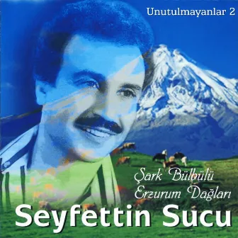 Unutulmayanlar, Vol. 2 (Şark Bülbülü) by Seyfettin Sucu