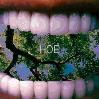 Hoe by Joss Camuss