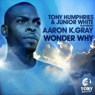 Wonder Why by Tony Humphries