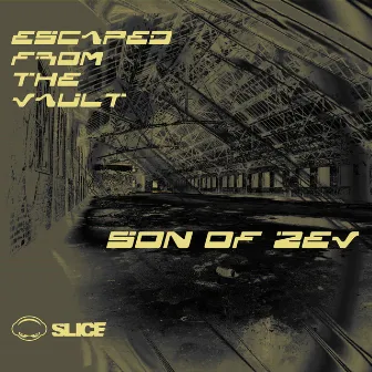 Escaped from the Vault by Son of Zev