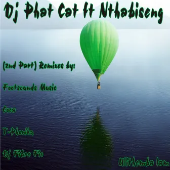 Ulithemba Lam, Pt. 2 (Remixes) by Dj Phat Cat