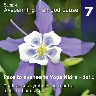 Peos to Avanserte Yoga Nidra Avspenninger, Del 1 by Peo