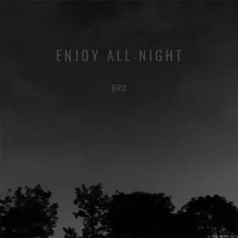 enjoy all night by BRD