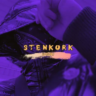 Digiri by STENKORK