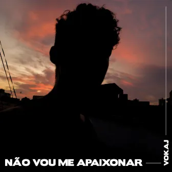 Não Vou Me Apaixonar by Vokaj