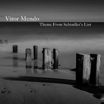 Theme From Shindler's List by Vitor Mendo