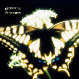 Episode 22: Butterfly by Caly Bevier