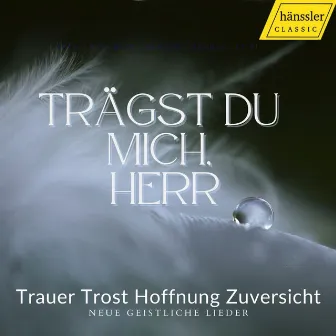 Trägst du mich, Herr: Trauer Trost Hoffnung Zuversicht by Solistenensemble, Das