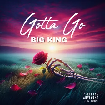 GOTTA GO by Big King