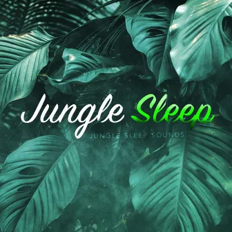 Jungle Sleep by Jungle Sleep Sounds