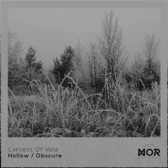 Hollow / Obscure by Content of Void