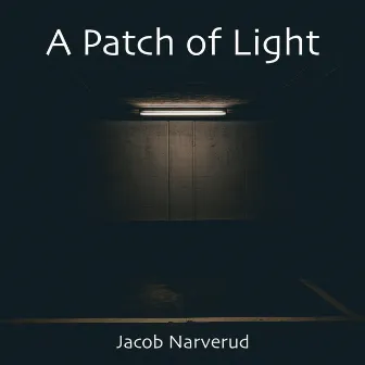 A Patch of Light by Jacob Narverud