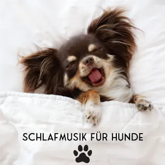 Schlafmusik für Hunde: Haustier-Entspannung, Linderung von Trennungsangst, Ruhiger Hund by Ruhige Entspannende Atmosphäre