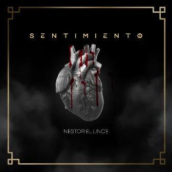 Sentimiento by Nestor el Lince