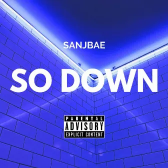 So Down by Sanjbae