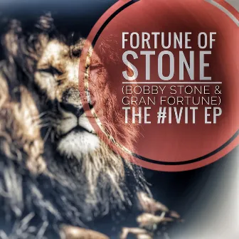 Fortune of Stone: Ivit by Gran Fortune