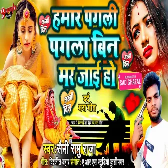 Hamar Pagali Pagala Bin Mar Jai Ho by Saini Ramu Raja