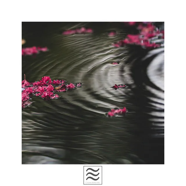 Serene Raining Sounds for Rest