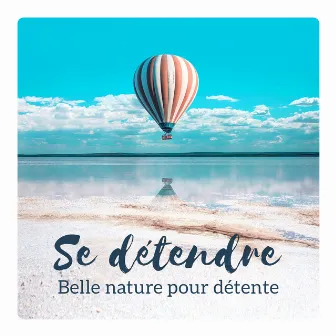 Se détendre - Belle nature pour détente, méditation et dormir, relaxante zen pour sérénité et bien-être by Bien-être Spa Musique Collection