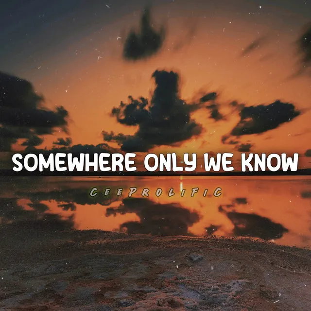 Somewhere Only We Know