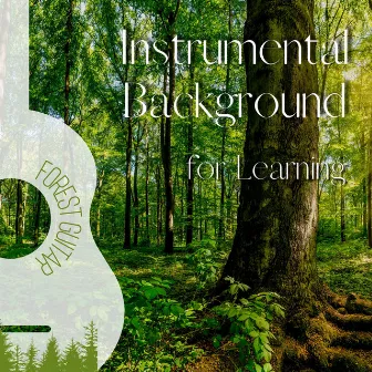 Instrumental Background for Learning by Unknown Artist