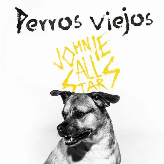 Perros Viejos by Johnie All Stars