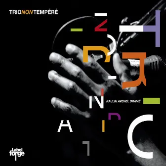 Trio Non Tempéré by François Raulin