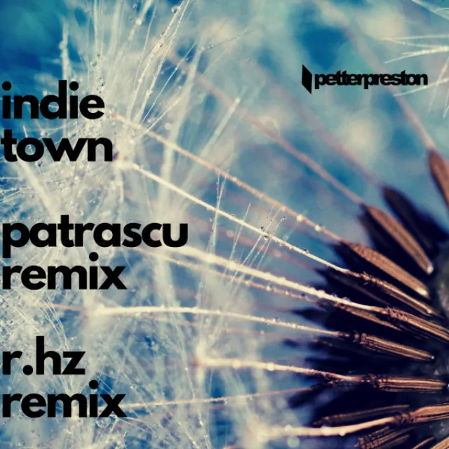 Indie Town - Patrascu Remix