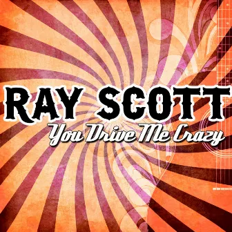 You Drive Me Crazy by Ray Scott