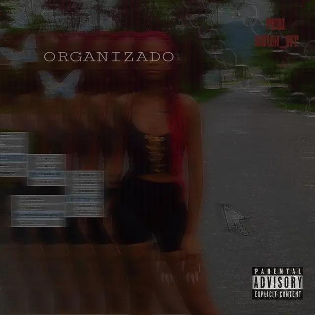 Organizado