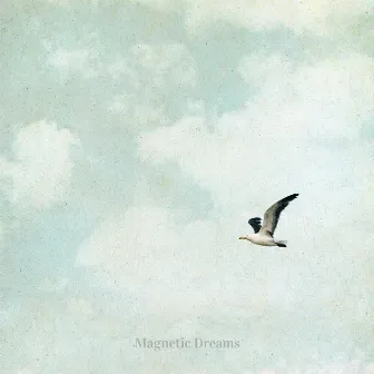 It's Love by Magnetic Dreams