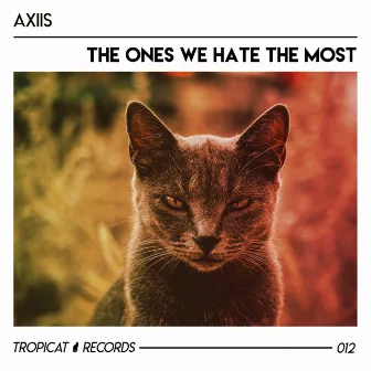 To The Ones We Hate The Most by Axiis