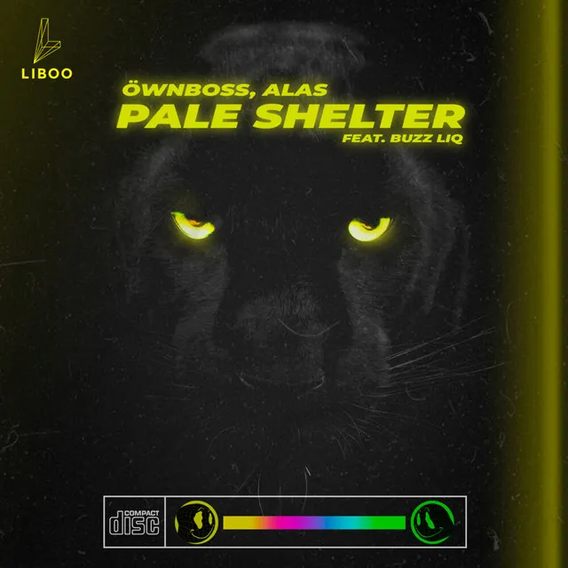 Pale Shelter - Radio Edit