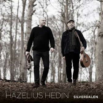 Silverdalen by Hazelius Hedin