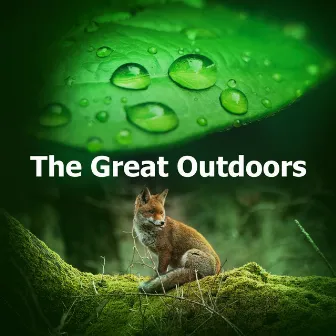 The Great Outdoors by Pure Nature Noises