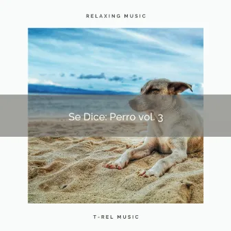 2021 New: Se Dice: Perro vol. 3 by Sleep Doggie