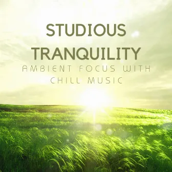 Studious Tranquility: Ambient Focus with Chill Music by The Peaceful D