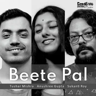 Beete Pal by Sukanti Roy