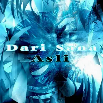 Asli by Dari Sana