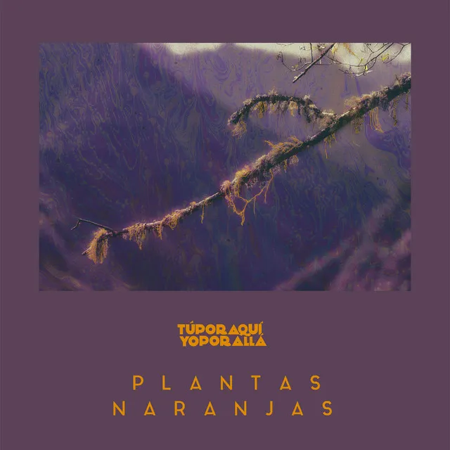 Plantas Naranjas