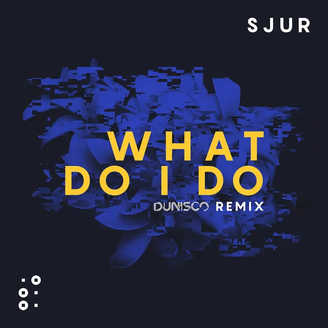 What Do I Do - Dunisco Remix